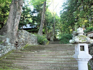 20100728_418shuusei.jpg