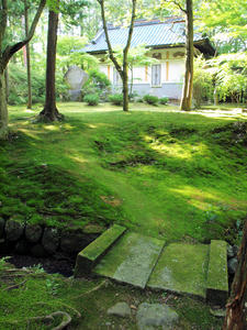 20100728_394shuusei.jpg
