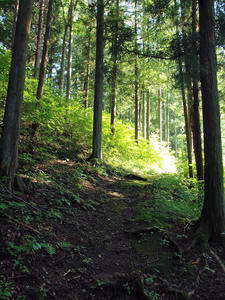 20100728_424shuusei.jpg
