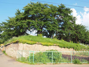 20100728_435shuusei.jpg