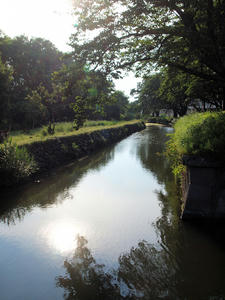 20100728_457shuusei.jpg