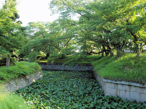 20100728_460shuusei.jpg