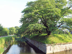 20100728_461shuusei.jpg
