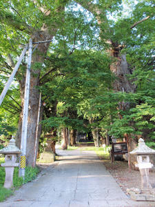 20100728_483shuusei.jpg