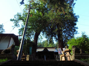 20100728_468shuusei.jpg