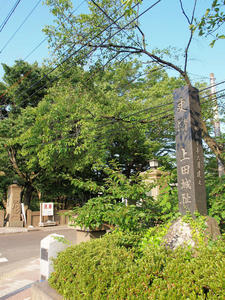 20100728_693shuusei.jpg