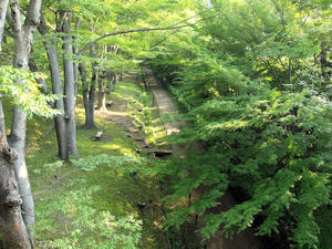 20100728_694shuusei.jpg