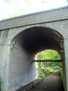 20100728_689shuusei.jpg
