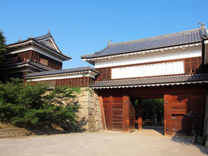 20100728_704.JPG