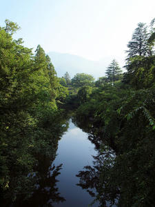20100728_711shuusei.jpg