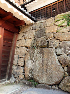 20100728_714shuusei.jpg