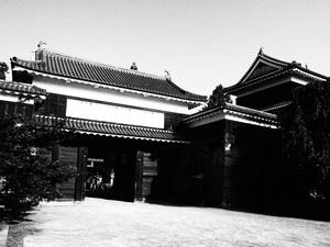 20100728_708shuusei.jpg