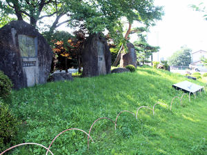 20100728_742shuusei.jpg