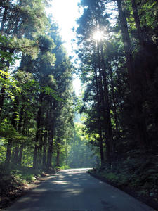 20100728_752shuusei.jpg