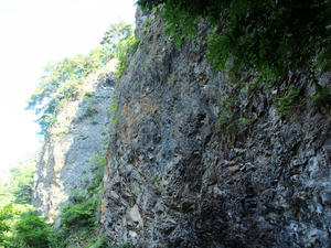 20100728_758shuusei.jpg