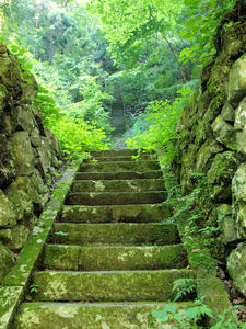 20100728_760shuusei.jpg