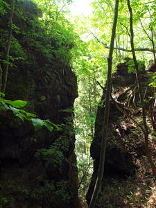 20100728_770shuusei.jpg