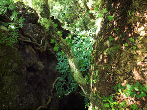 20100728_776shuusei.jpg