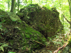 20100728_781shuusei.jpg