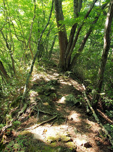 20100728_783shuusei.jpg