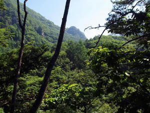 20100728_785shuusei.jpg