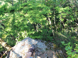 20100728_789shuusei.jpg