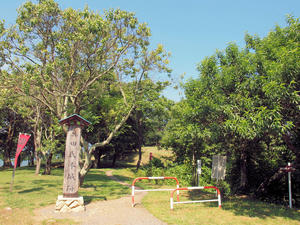 20100728_815shuusei.jpg