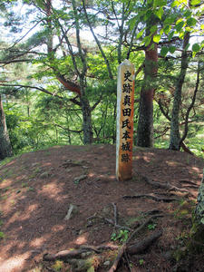 20100728_826shuusei.jpg