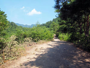 20100728_843shuusei.jpg
