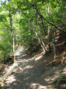 20100728_848shuusei.jpg