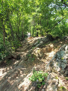 20100728_850shuusei.jpg