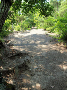 20100728_851shuusei.jpg
