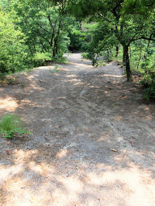 20100728_857shuusei.jpg
