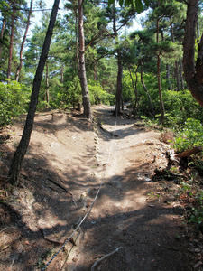 20100728_860shuusei.jpg