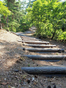 20100728_861shuusei.jpg