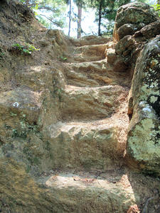 20100728_865shuusei.jpg