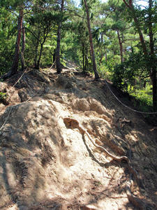 20100728_866shuusei.jpg