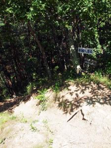20100728_874shuusei.jpg