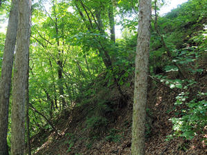 20100728_876shuusei.jpg