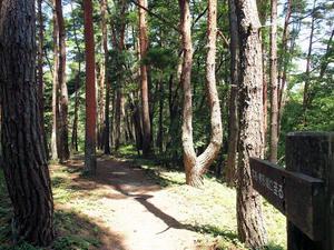 20100728_879shuusei.jpg