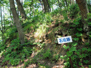 20100728_883shuusei.jpg