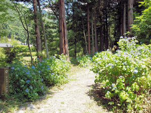 20100728_932shuusei.jpg