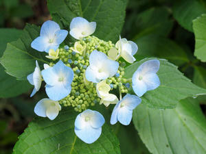 20100728_935shuusei.jpg