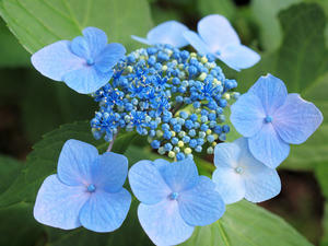 20100728_937shuusei.jpg