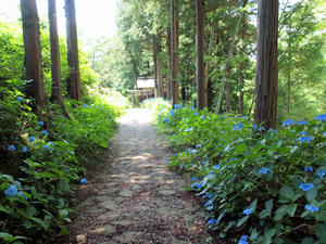 20100728_923shuusei.jpg