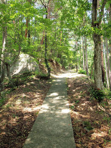 20100728_912shuusei.jpg