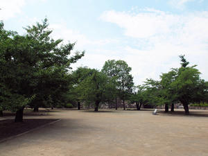 20100728_954shuusei.jpg