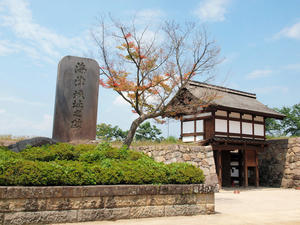 20100728_960shuusei.jpg