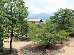20100728_962shuusei.jpg