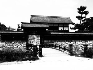 20100728_946shuusei.jpg